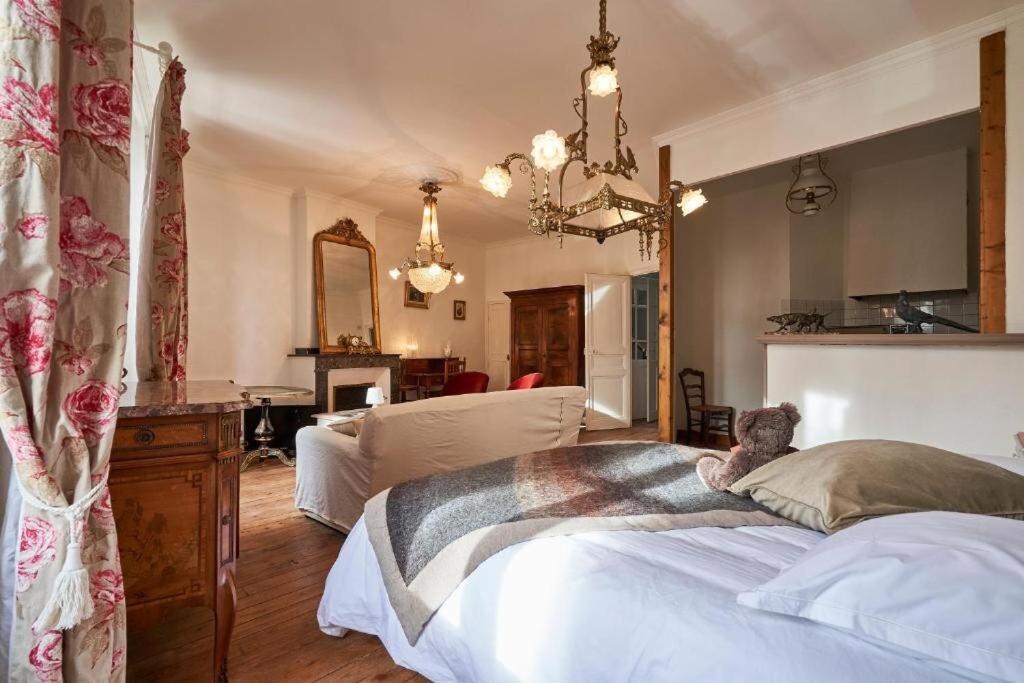 La Casa Consuelo ~ Piscine ~ Jardin ~ Centre Ville 카르카손 외부 사진